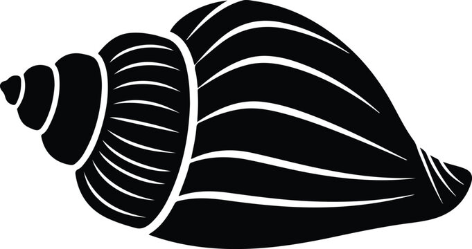 Elegant seashell illustration featuring a spiral shape and intricate details evoking the beauty of the ocean