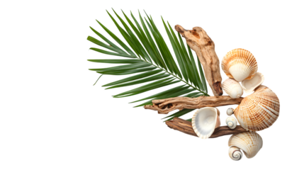 Tropical vibes with seashells driftwood and palm leaf evoke serene ocean coastal getaway feeling vacation isolated on white background 