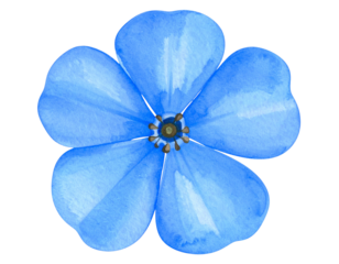 Watercolor-Style Blue Flower Illustration with Subtle Gradient Wash, Transparent PNG