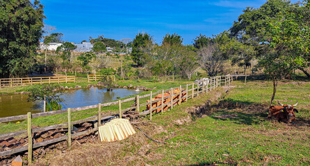 sítio com lago e animais