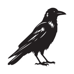 Fototapeta premium Striking silhouette of a crow in flight isolated on white background