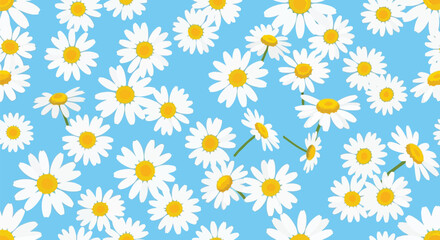 Vector illustration of charming seamless pattern of white daisies with yellow centers scattered across a bright blue background, cheerful floral illustration
