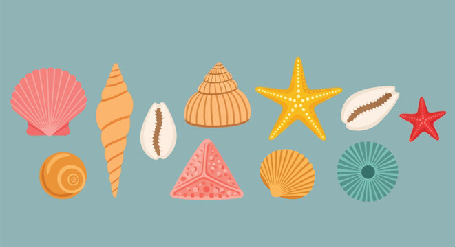 Vector illustration of a vibrant collection of assorted seashells and starfish, including spiral, fan, and cowrie shells, on a solid blue background