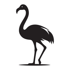 Obraz premium Australian dingo wild canine animal silhouette standing proudly