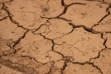 Cracked dry earth surface due to drought, close-up texture of parched soil. Concept of climate change, environmental stress, and land degradation.