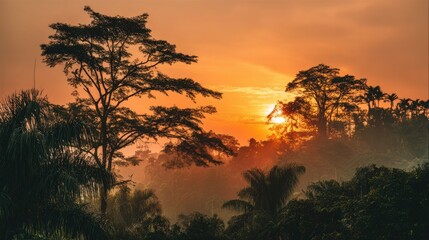 Naklejka premium As the sun sets behind the thick foliage, vibrant oranges and yellows fill the sky, casting a warm glow over the dense jungle. Tall trees create striking silhouettes against the colorful backdrop.