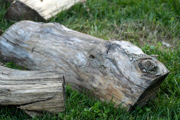 Split logs for firewood