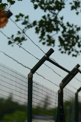 This is a closeup view of a barbed wire fence, which is prominently displayed, accompanied by a...
