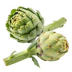 Fresh artichoke set isolated on transparent background
