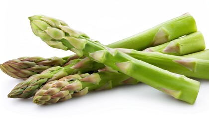 Asparagus Isolated on White Background Full Depth of Field