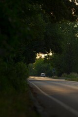 A car is steadily driving down a winding road that is beautifully surrounded by lush green trees and foliage on both sides