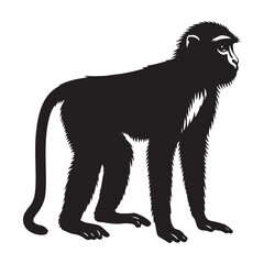 Distinctive silhouette of a macaque monkey in a natural pose