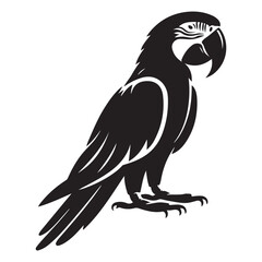 Exotic macaw bird profile silhouette in vibrant colors