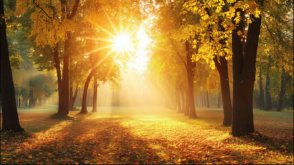 Fototapeta premium Sunlit autumn forest pathway nature landscape tranquil environment