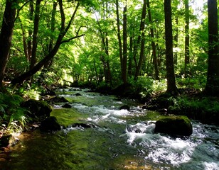 Fototapeta premium Forest stream in sunlight