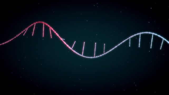 Single-stranded RNA helix transforms into double-stranded DNA, key in genetics research - 3d illustration