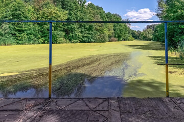 Pedestrian bridge over algae-covered Sukha Lokhvytsia River in Lokhvytsia, Poltava region, Ukraine. Blue-yellow railing frames view of green water surface surrounded by dense woodland