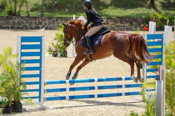 Competitive equestrian sports