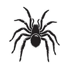 Detailed silhouette of a spider with intricate legs and body design