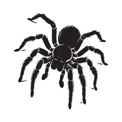Detailed silhouette of a spooky spider for halloween or horror themes