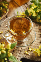 A cup of herbal tea with blooming yellow archangel or golden dead-nettle plant