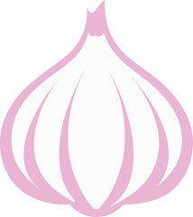Vector illustration of a  garlic on a transparent background