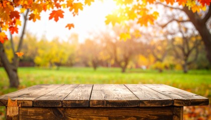 picnic table in autumn park