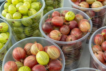 Gooseberries in vibrant plastic cups. A bountiful harvest of fresh gooseberries ready for jam making and winter preparations. A delightful mix of gooseberry varieties in containers at the market.
