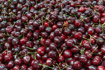 Fresh cherries piled high showcasing the bounty of summer harvest. Glossy red cherries arranged in abundance at a local market. Juicy cherries symbolizing the sweetness and richness of life.