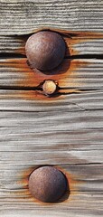 Rusty bolts on weathered wooden planks with vivid orange-brown oxidation patterns. Detailed macro shot showing natural decay, aged timber texture, and industrial rustic charm