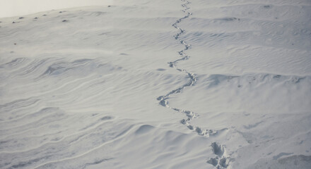 Snowy landscape with footpath through undisturbed white snow  