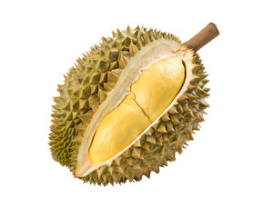Exotic tropical durian fruit with spiky shell and creamy flesh isolated on white background