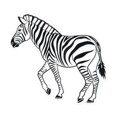 Zebra vector illustration isolated on white background with black and white stripes silhouette