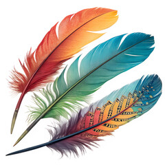 Vivid Color Feathers Bright Multicolored Feather Close-Up Illustration