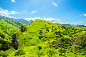 Picturesque landscape on the slope of a green mountain with a steep rocky cliff. North Caucasus