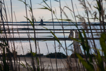 Mozia saltpans, Marsala, Sicily