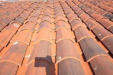 Textured Surface of a Traditional Roof, Historical Building.