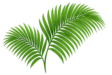 Obraz premium Two lush green palm leaves bring a touch of tropical paradise, isolated on a transparent background, ready to enhance any design