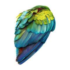 Obraz premium Close-up of a sleeping parrot's back feathers. Vivid colors