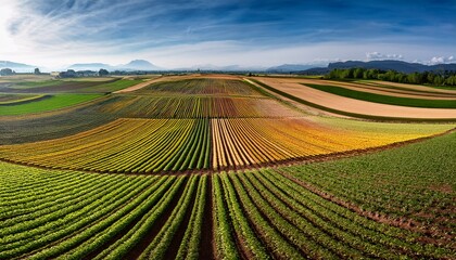 horizontal divisions in a field are used to cultivate diverse crops highlighting the implementation of sustainable agricultural practices