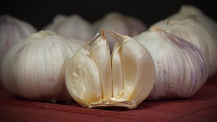 Garlic - very healthy product with many beneficial properties for health. Garlic, Allium sativum, species of bulbous flowering plants in genus Allium