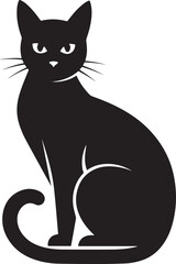 Obraz premium Black cat sitting with curled tail animal domestic