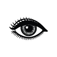 Detailed eye eyelashes eyeball pupil vision sight look gaze silhouette vector illustration