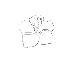 Hibiscus Flower Line Art Vector One Line Botanical Design