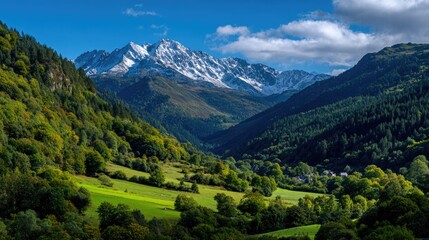 Fototapeta premium Majestic mountain valley with snowy peaks and forest