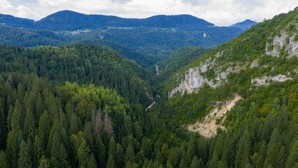 Fototapeta premium Aerial view of a deep forested canyon with cliffs and a narrow winding path through the trees