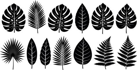 Vector art of set of various tropical plant leaves and foliage, isolated on white background transparent background