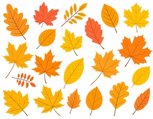 Naklejka premium Colorful autumn leaves collection