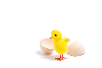 Easter egg and yellow chicken isolated on white background.