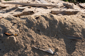 Pile of dried sawdust. Waste from woodworking.